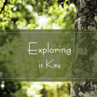 Exploring is Key